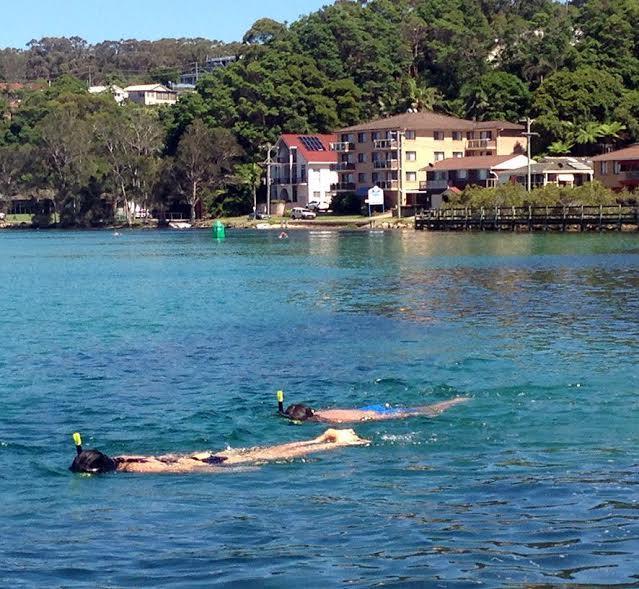 Marcel Towers Holiday Apartments Nambucca Heads Dış mekan fotoğraf