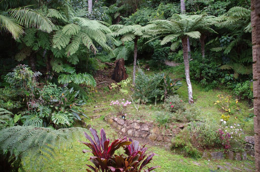 Marcel Towers Holiday Apartments Nambucca Heads Dış mekan fotoğraf